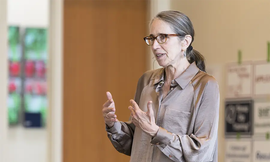 A female professional leading a meeting