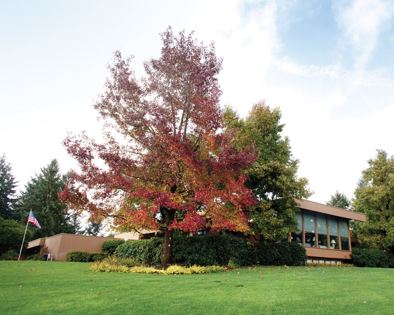 Ken Austin donated Hy Vista, his longtime home on Parrett Mountain, to George Fox University to be used as a place for contemplation, reflection and prayer.