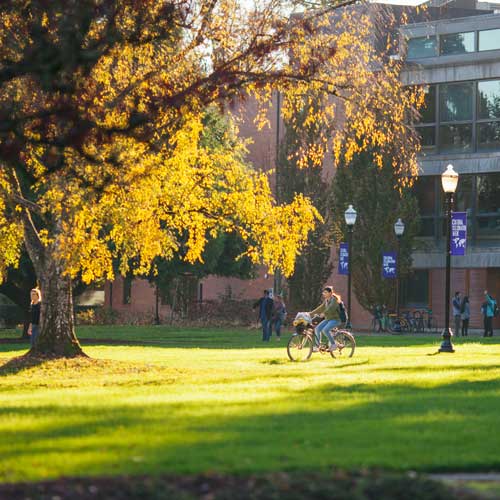 View of Stevens, a building on campus