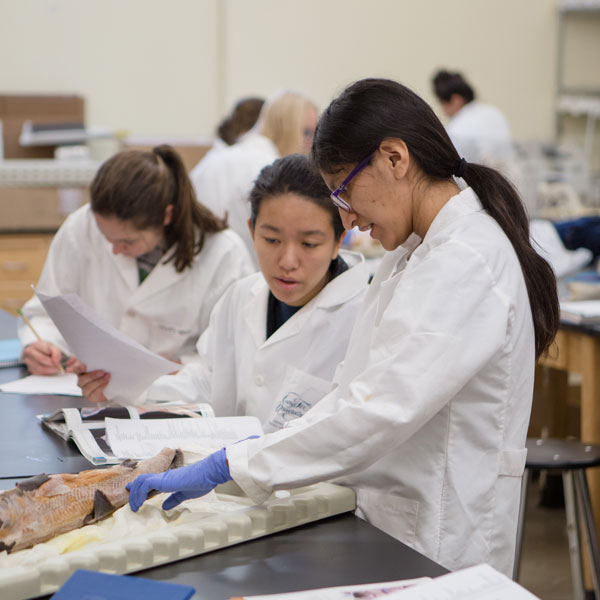 two students workin on a bio project