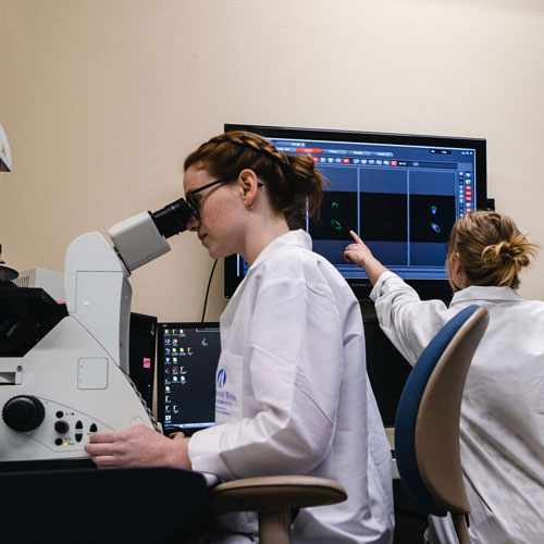 Student looking through a microscope in the lab