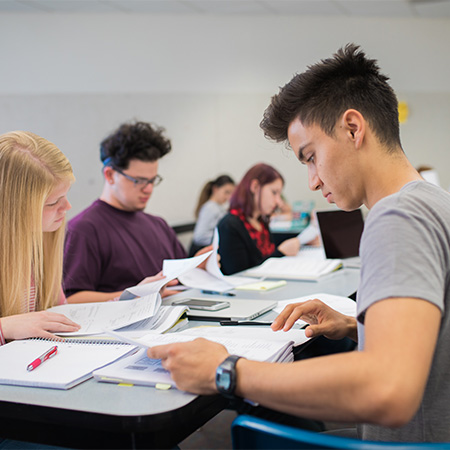 Students studying in class