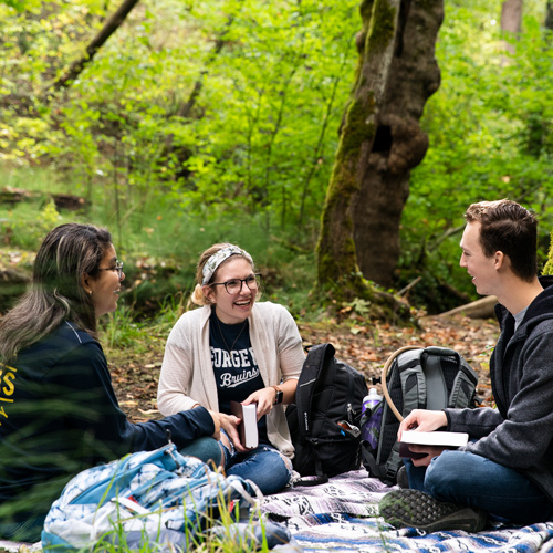 Students study outdoors