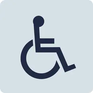Wheelchair icon