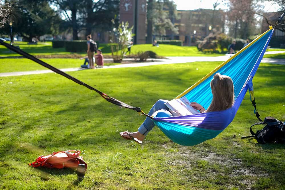 Hammock on quad