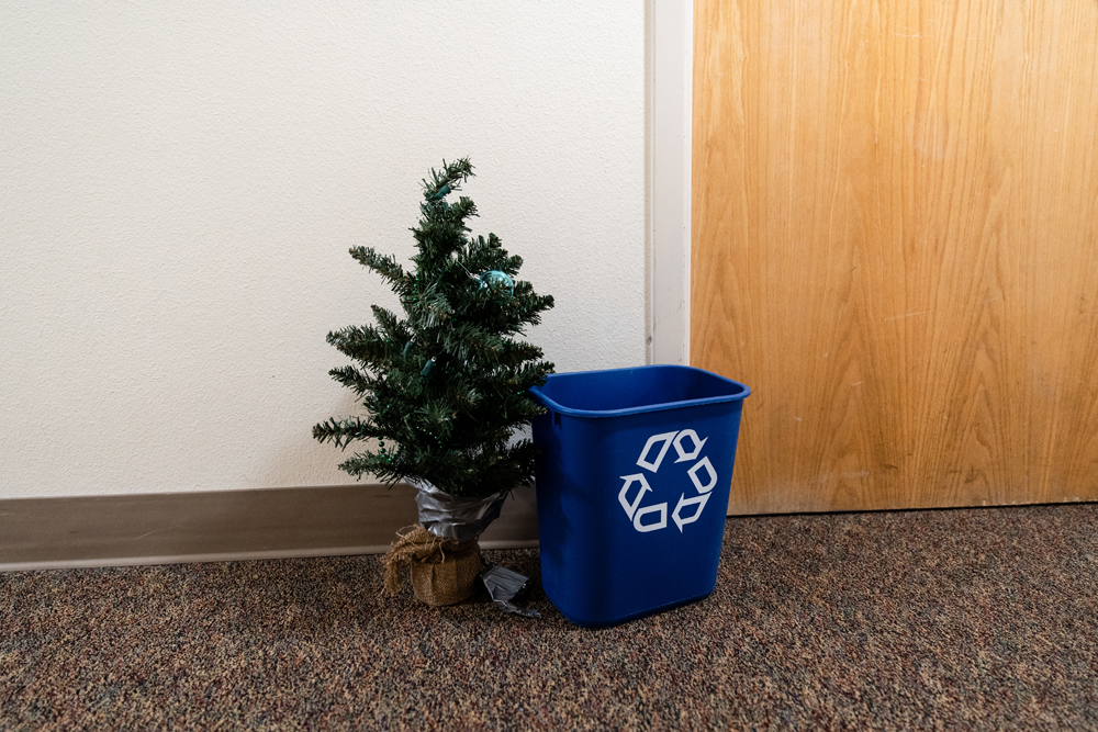Baby christmas tree and recycling