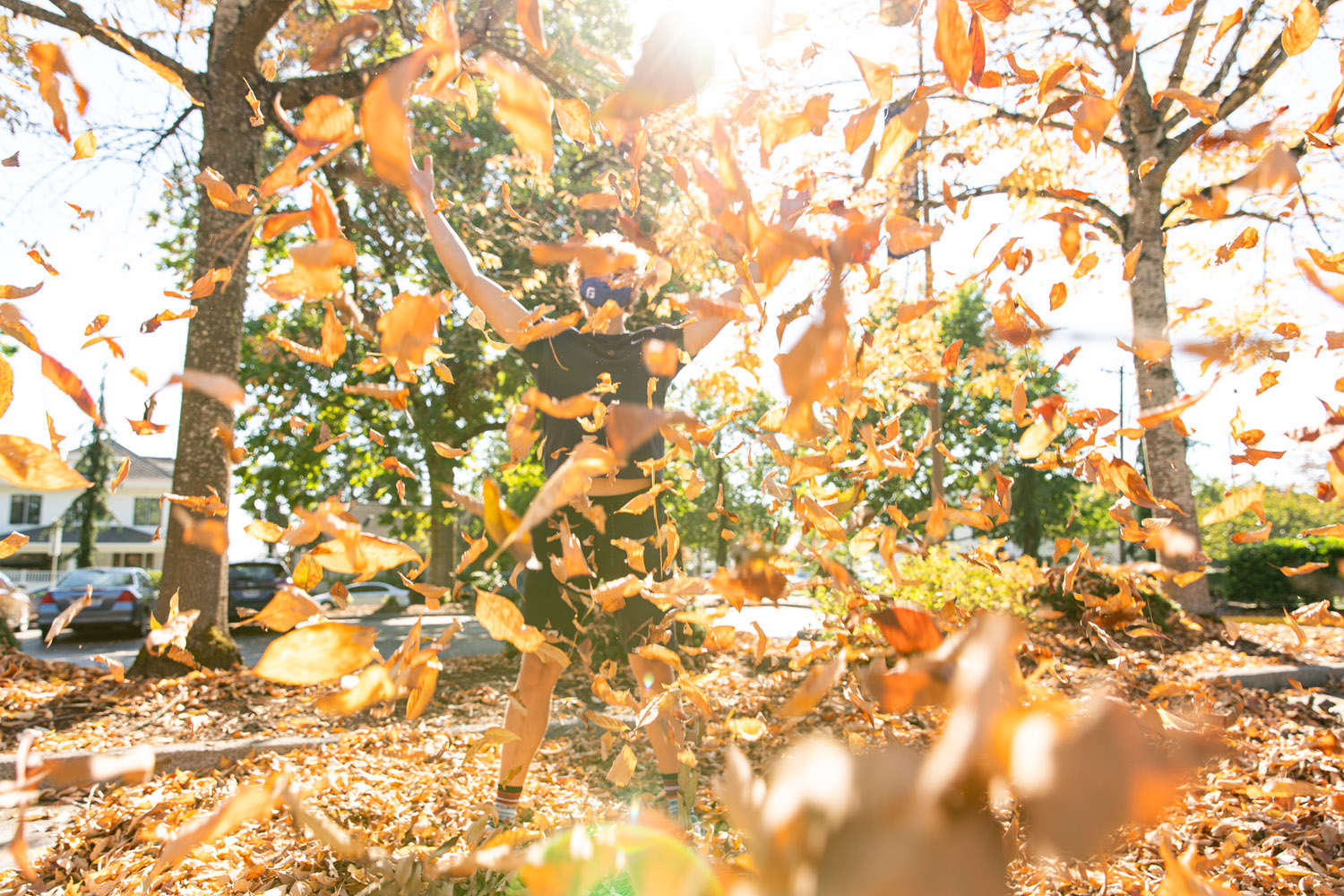A student throws a pile of yellow leaves into the air