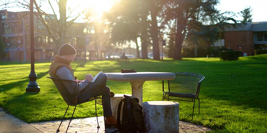 Studying on the quad