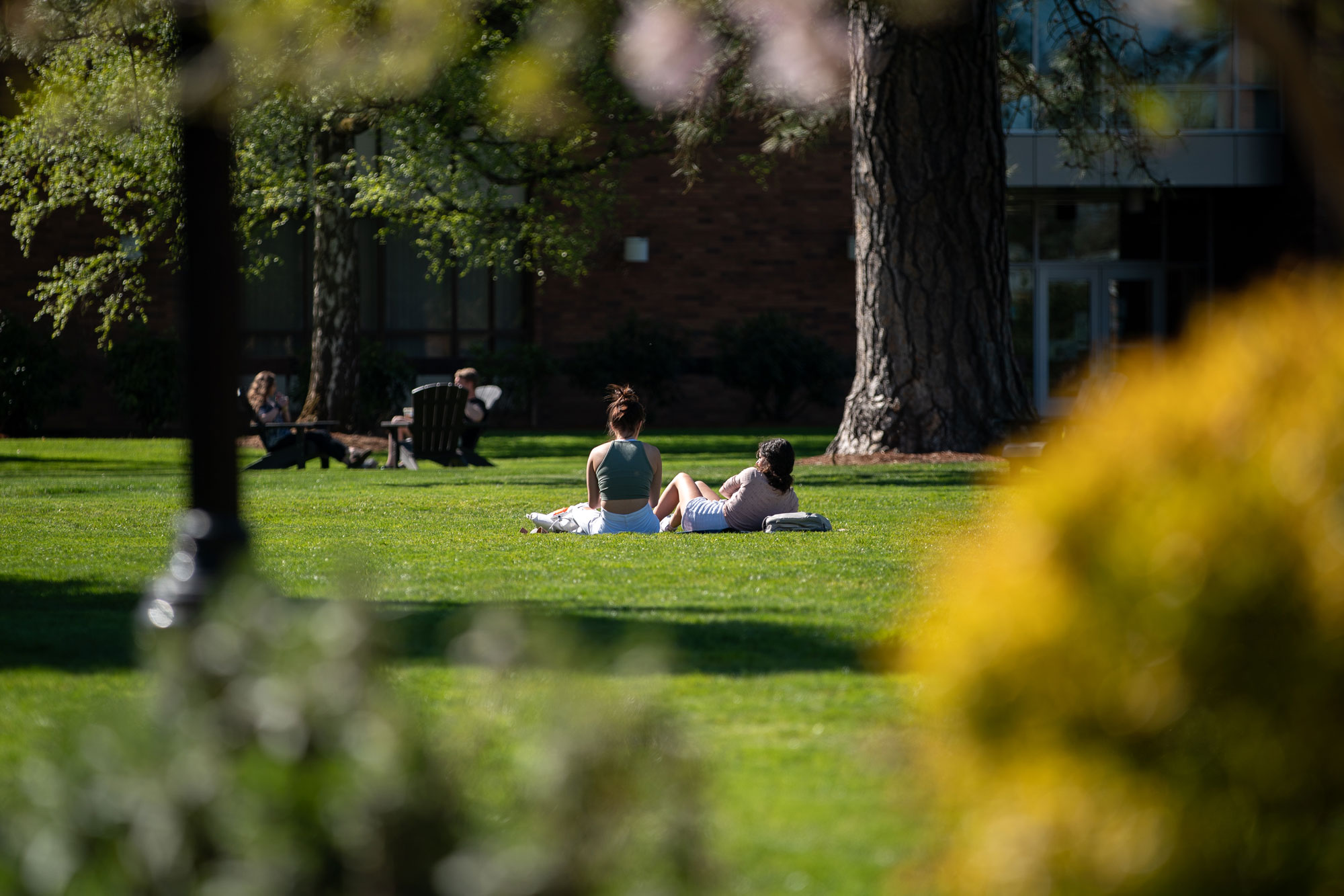 Students enjoy the sun on the quad