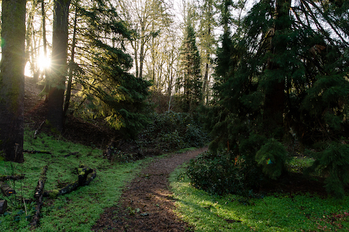 Scenery on a hiking trail