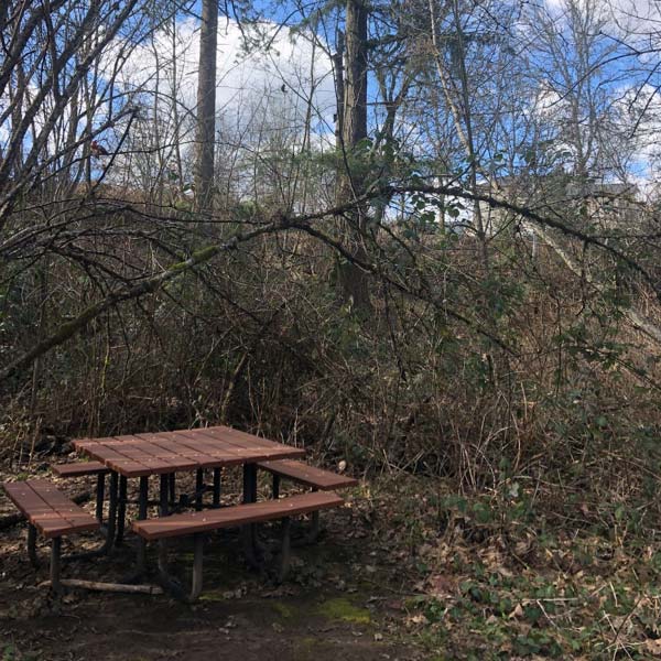 Benches in the canyon