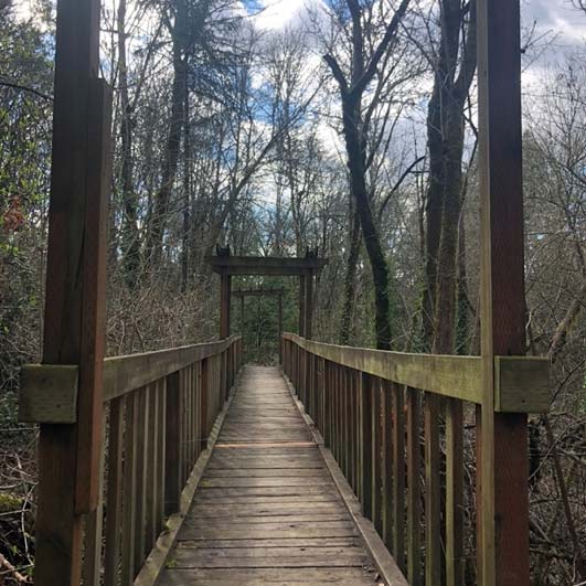 Bridge on campus