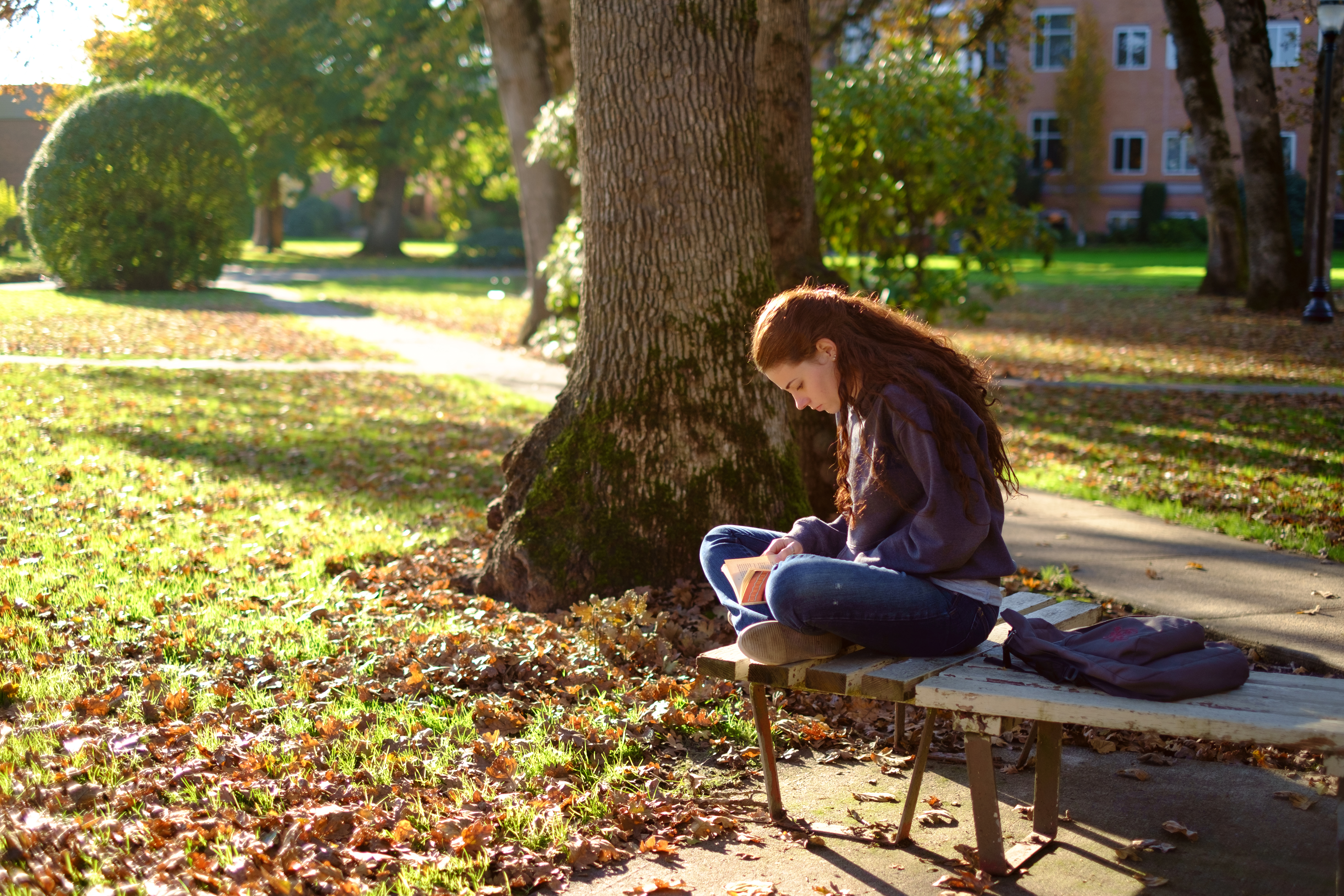 girl on bench reading