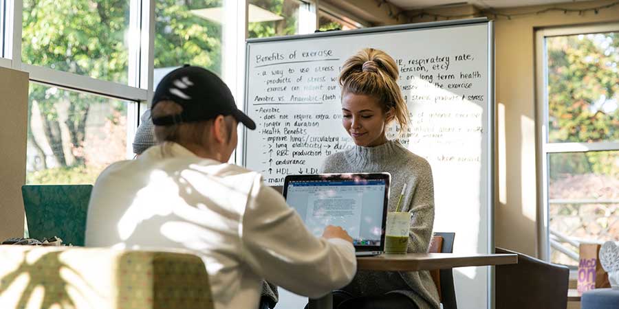 two students doing homework in the library