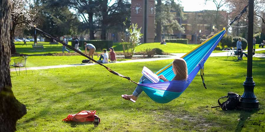 student studying in a hammock on the quad