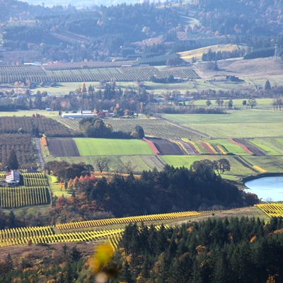 Newberg wine country