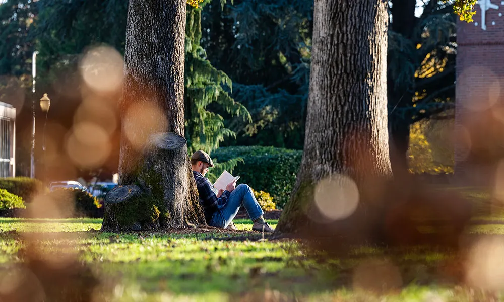 Man sitting under a tree reading a book