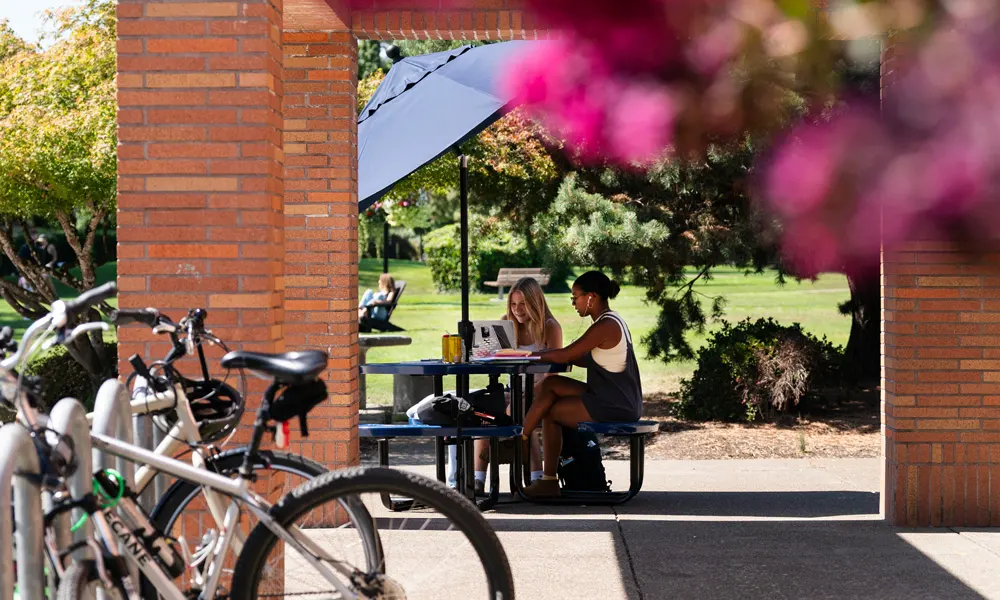 Two students work outside at a picnic table on campus