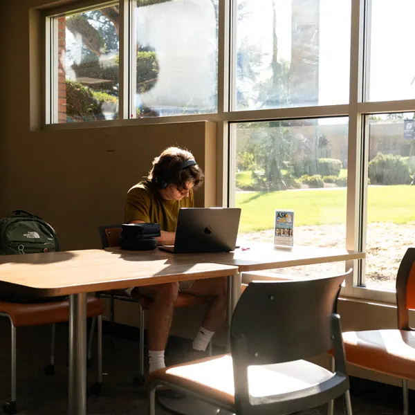 A single student works in a sunlit corner of the library