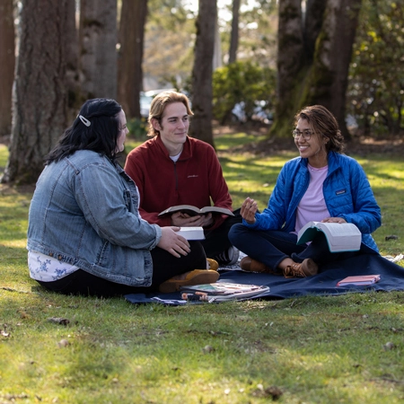 students studying outside
