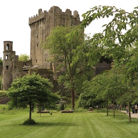 Ireland Castle