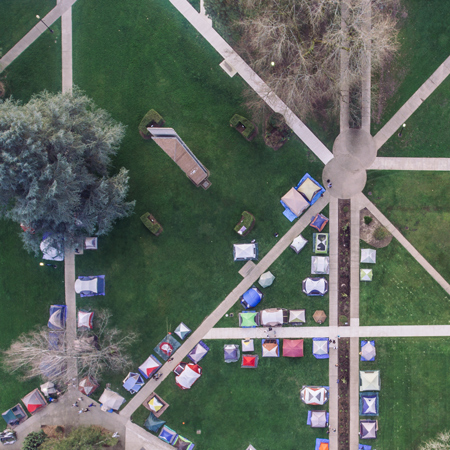 Tents all along the quad for Campus Campout