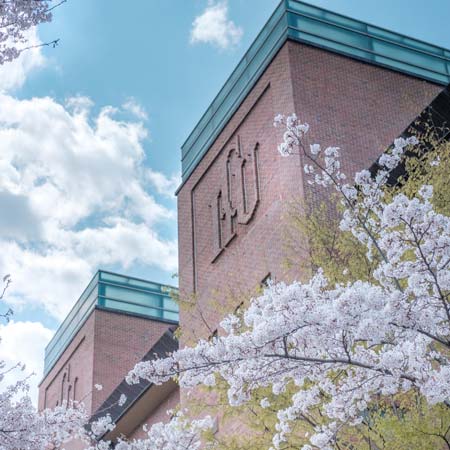 Handong Global University campus building with tree in front of it