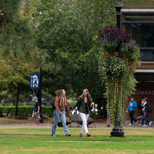 Students on campus quad