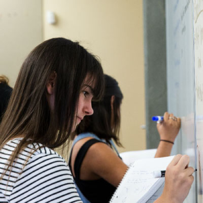 students studying at a white board