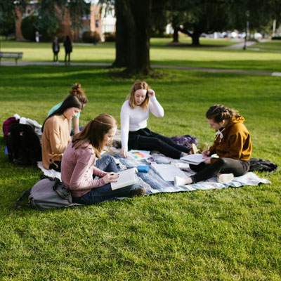 Group of four students studying on the grass of the quad