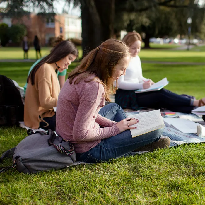 students sitting on a blanket studying on the quad