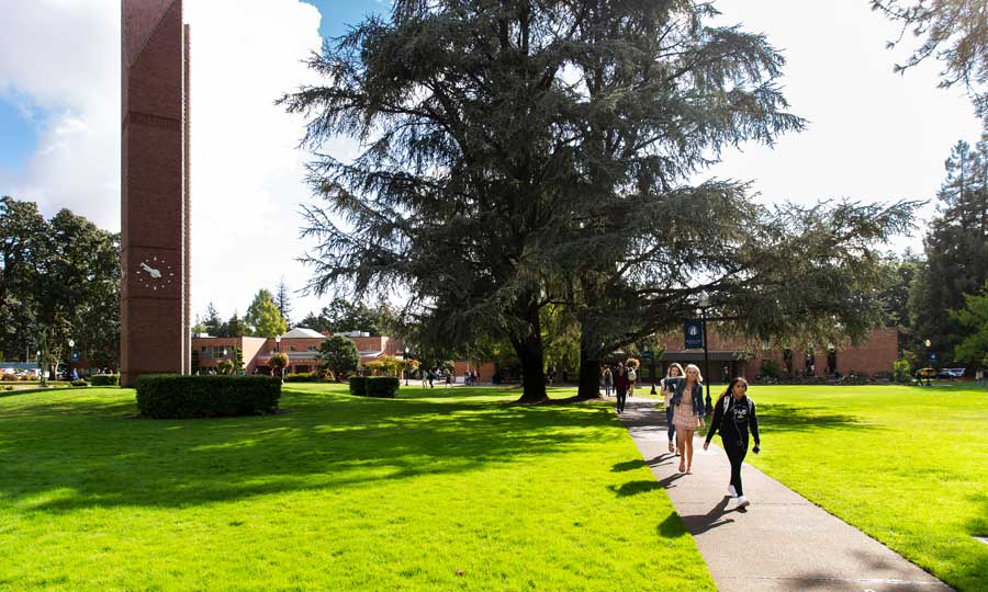Photo of campus quad with flowers and grass