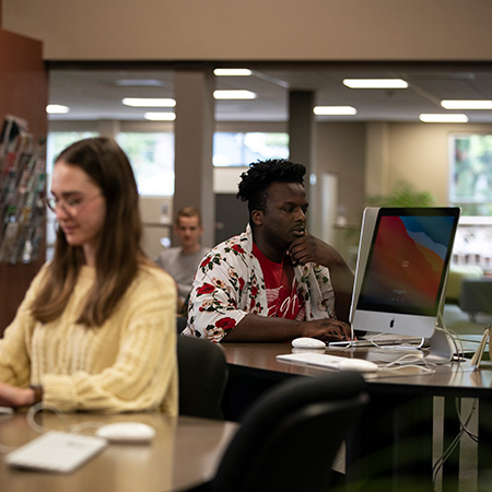 Students working on the computers in the library