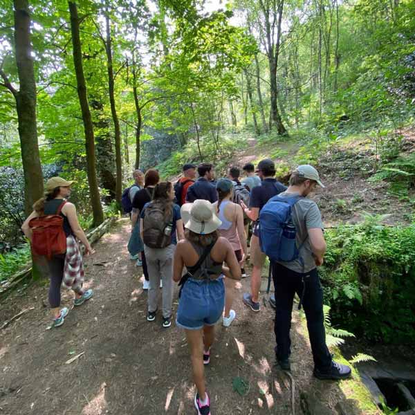 students hiking