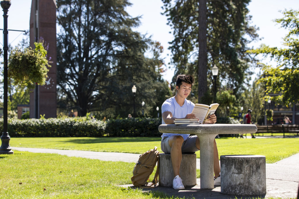 Studying student on campus