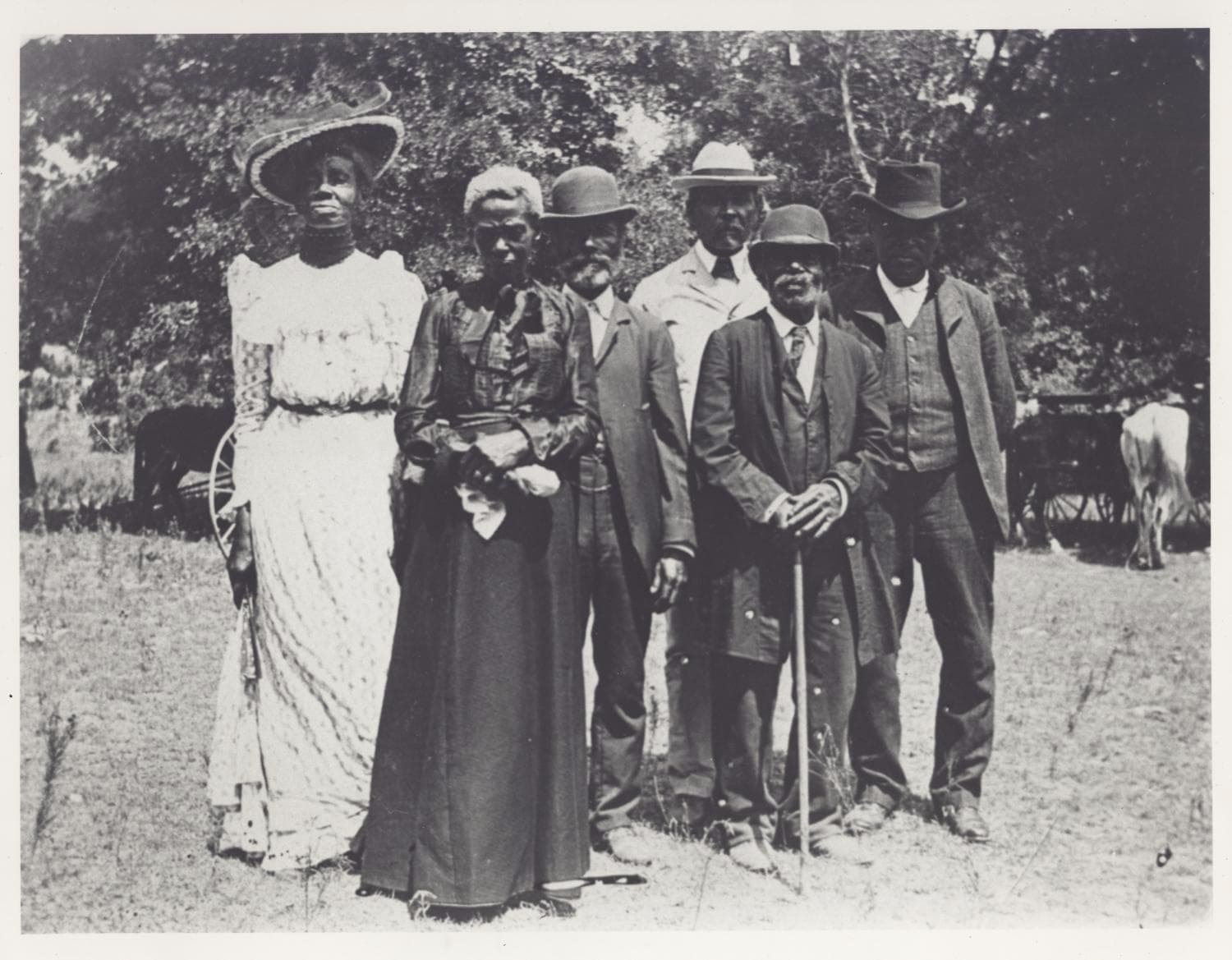 Emancipation Day Celebration