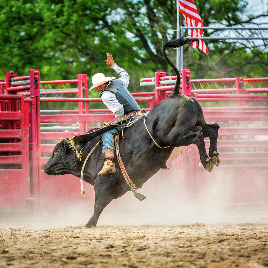 Rodeo rider
