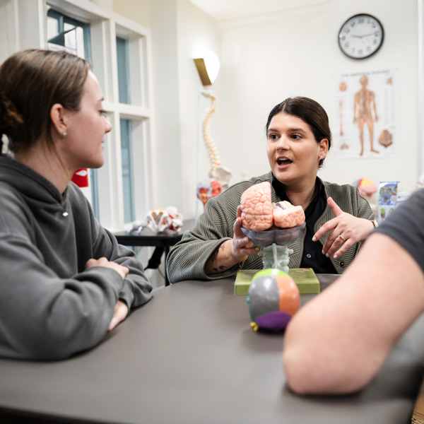 A George Fox professor of OT works with two students with anatomical models