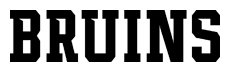 Bruins Logotype