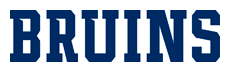 Bruins Logotype