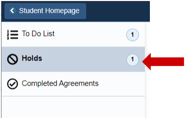 arrow pointing to "holds" option in the left hand menu