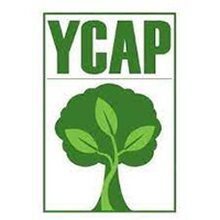 YCAP logo