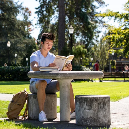 A student studying on a sunny day in the quad