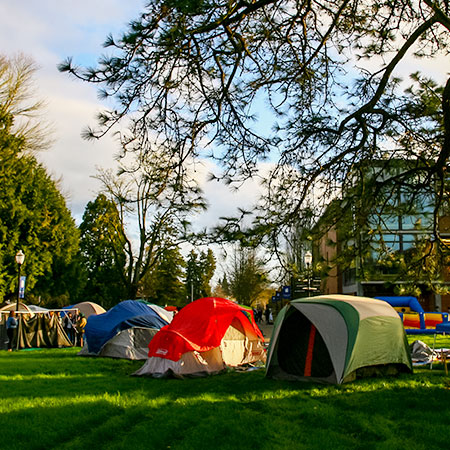 Tents pitched on the campus quad for the Campus Campout event
