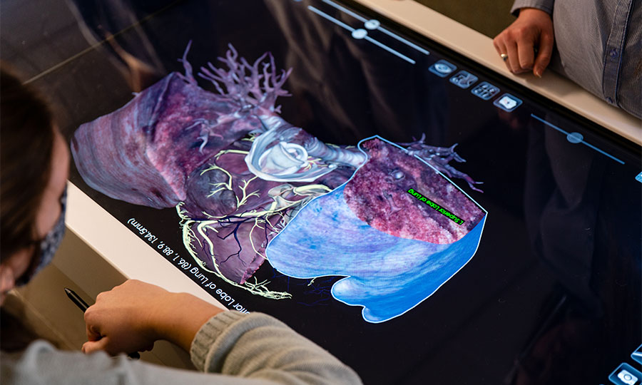 PA students studying on the Anatomage table