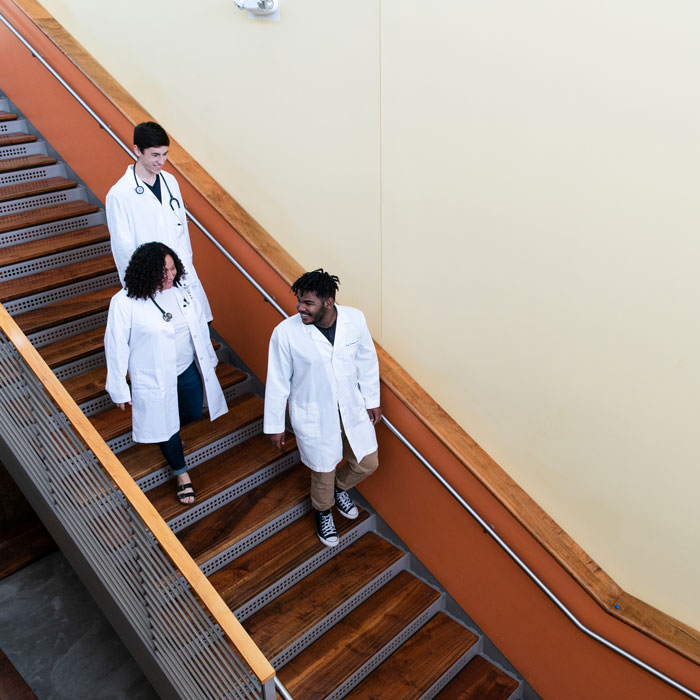 image of students walking down a staircase in white lab coats