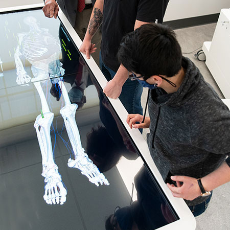 Students studying on the Anatomage table