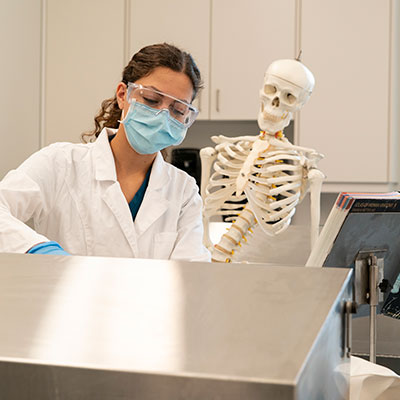 Physical Therapy students in the biomechanics lab