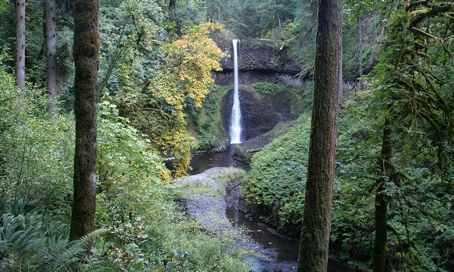 waterfall