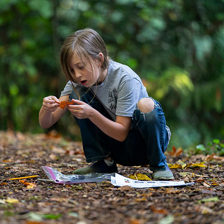 child holding a leaf